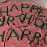 harry potter birthday