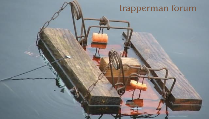 trapperman forum